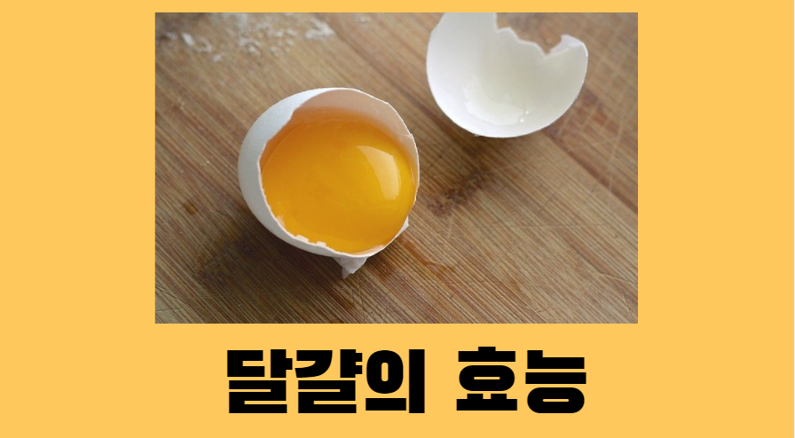  나만 모르는 달걀 효능