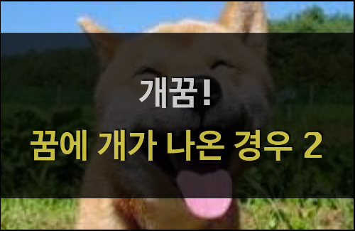  개꿈! - 꿈에 개가 나온 경우 2