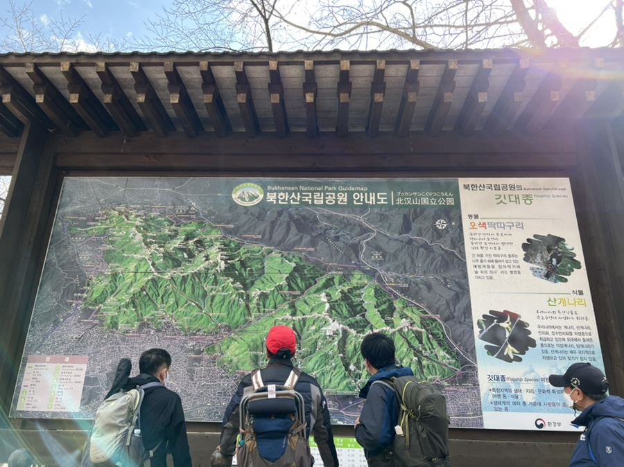 혼자가기좋은 31