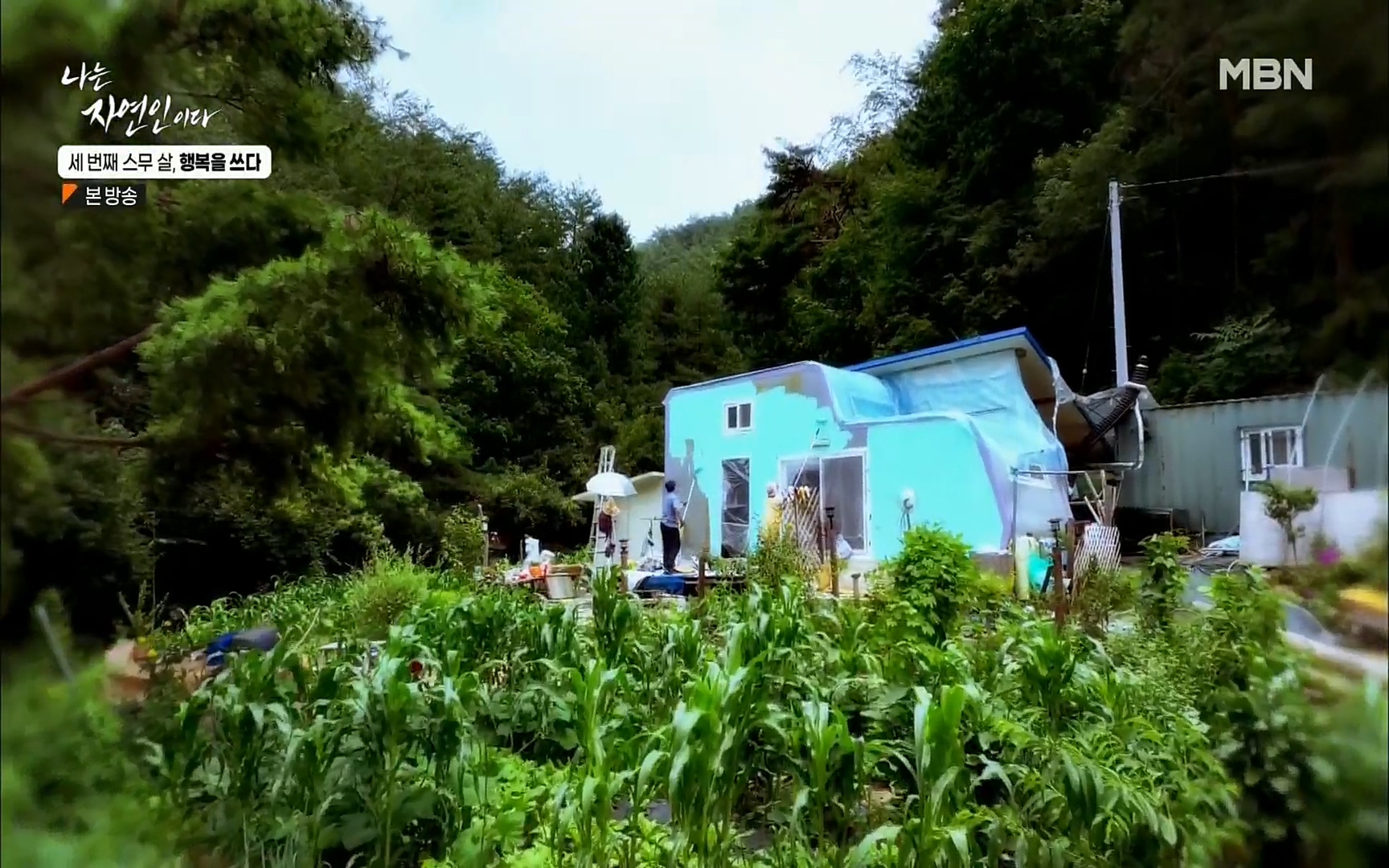 나는 자연인이다.E516.220824p.H264-F1RST.mp4_20220825_164130.893.jpg