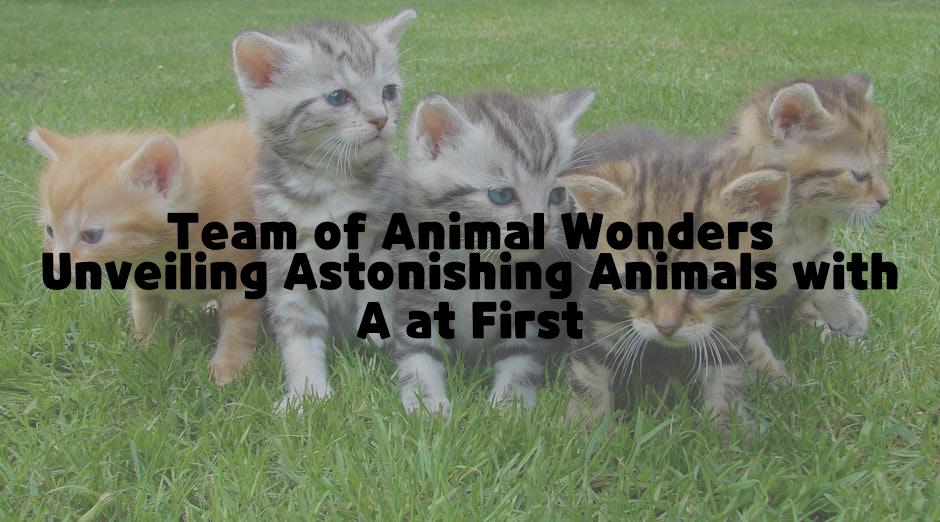 Team of Animal Wonders Unveiling Astonishing Animals with A at First