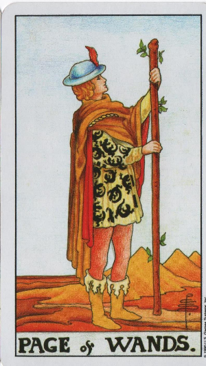  [타로해석] Page of Wands  완즈 시종 카드 정방향/ 역방향 뜻, 의미, 상징