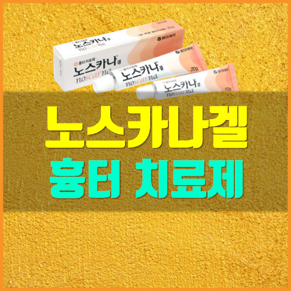  노스카나겔 가격 효능 사용법