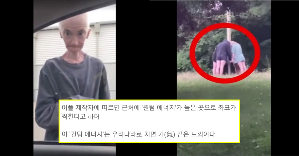  퀀텀 에너지가 높은 곳을 찾아준다는 어플 사용해 본 후기