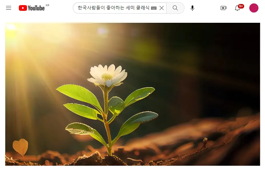 시청할 동영상 실행