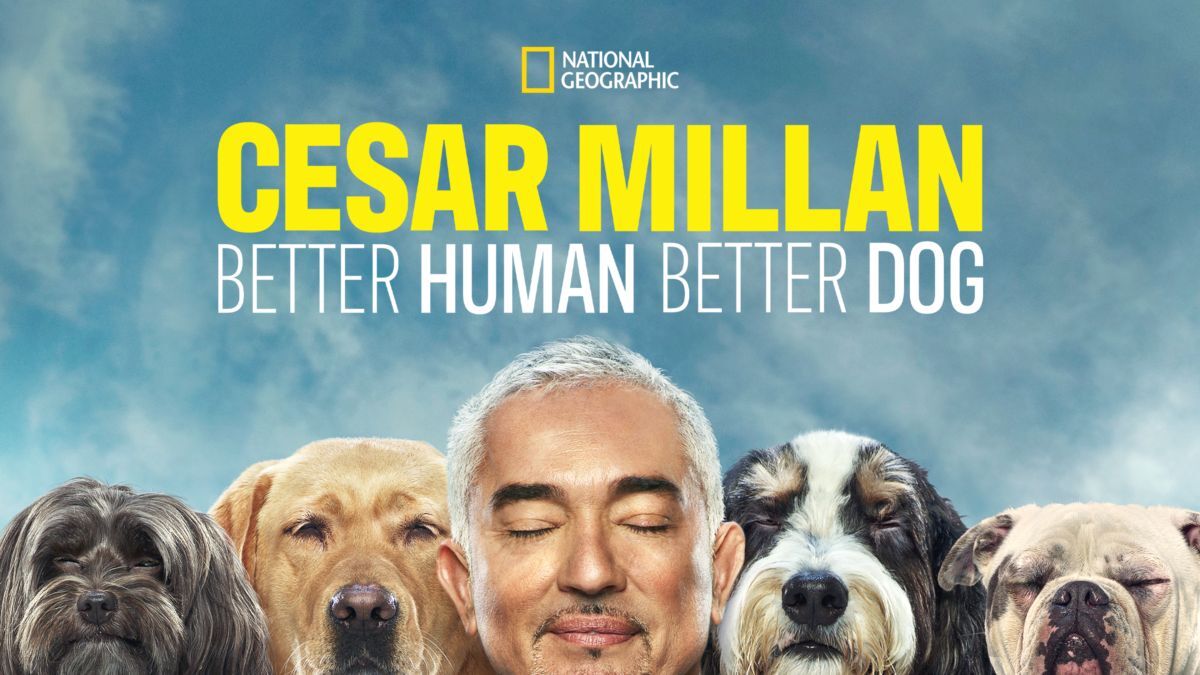 시저 밀란: 배러 휴먼&#44; 배러 도그(Cesar Mill&aacute;n: Better Human&#44; Better Dog)
