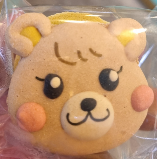 정담디 이미지