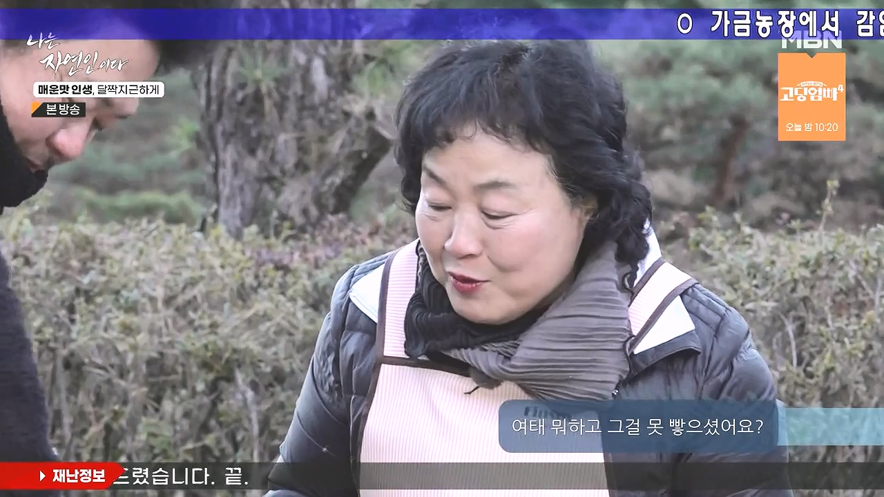 나는 자연인이다.E585.231221p-NEXT.mp4_20231221_195941.383.jpg