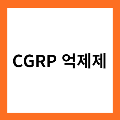 CGRP 억제제&#44; 편두통 핵심 두각