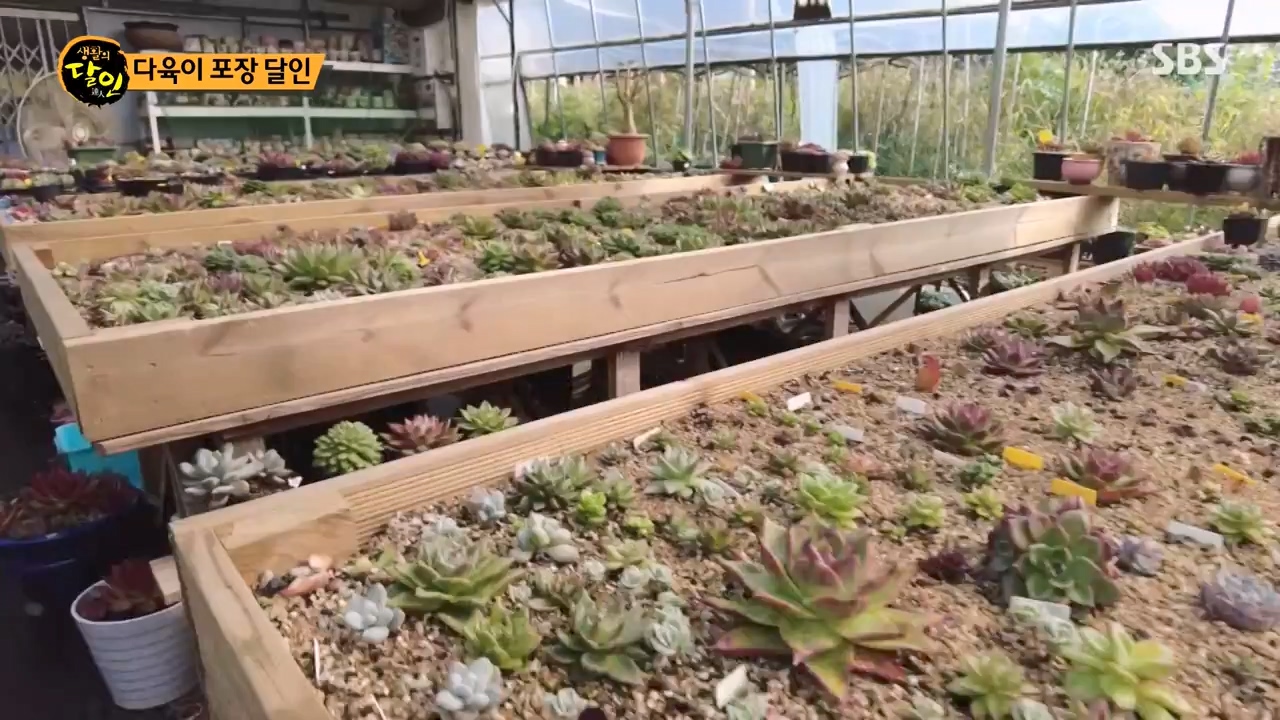 생활의 달인.E909.231031p-NEXT.mp4_20231031_200739.123.jpg