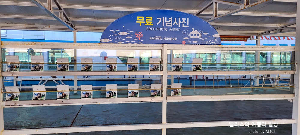 제주 서귀포 잠수함 계절상관없이 아름다운 제주 바다를 깊게! 제주 서귀포 가볼만한곳