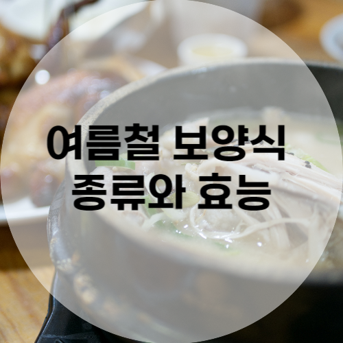 여름철 보양식 종류와 효능