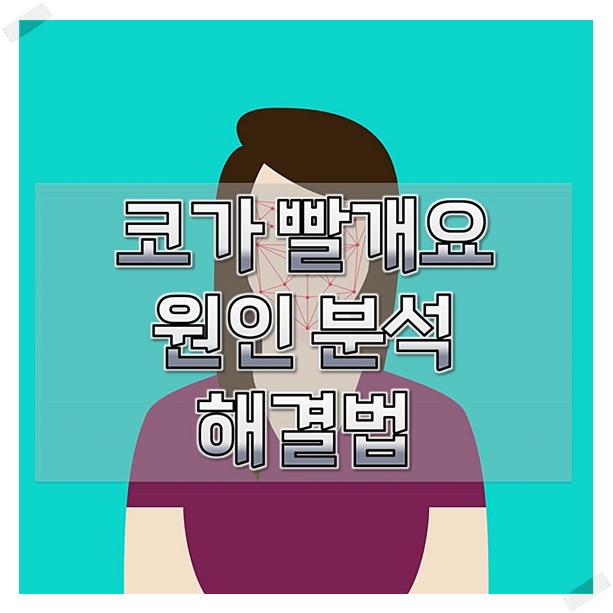  코가빨개요 원인 해결방법 정리