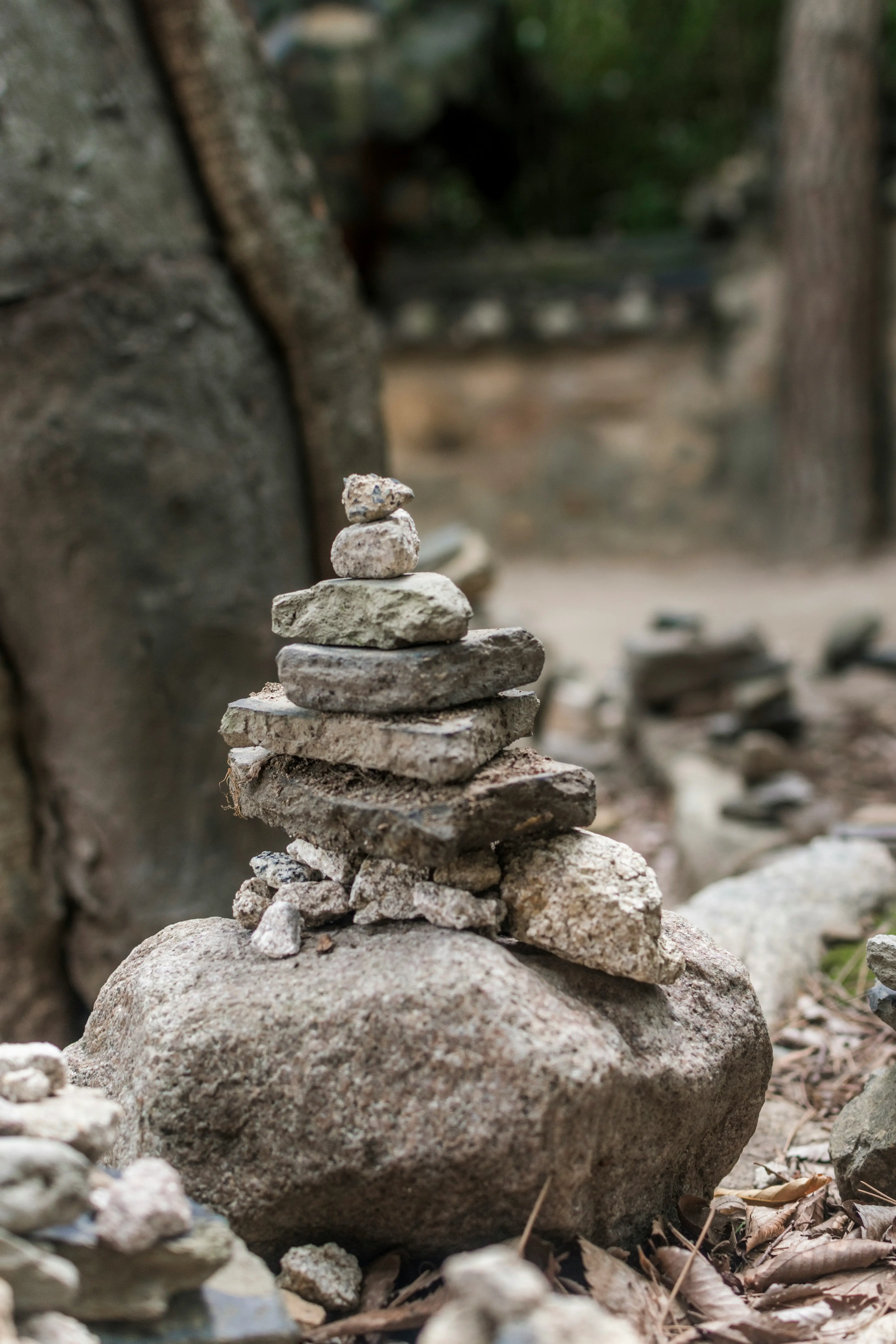 4. 경주 불국사