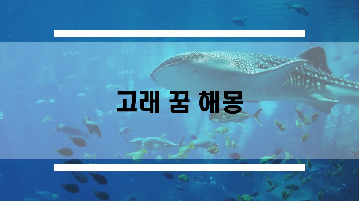 고래 보는 꿈, 고래를 타는 꿈 등 고래꿈 해몽 모음
