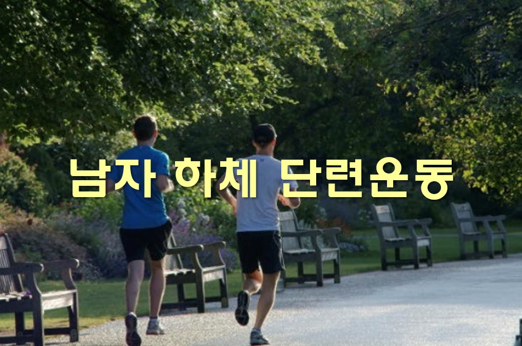  남자 하체 단련운동을 위한 하체 근육 운동법