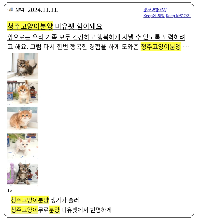 청주 고양이 분양_3_subsection
