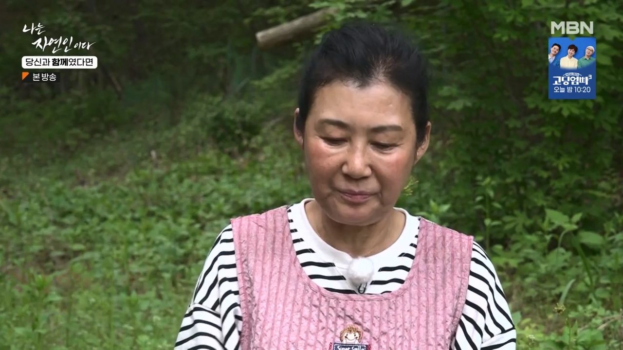 나는 자연인이다.E556.230532p-NEXT.mp4_20230601_201538.180.jpg