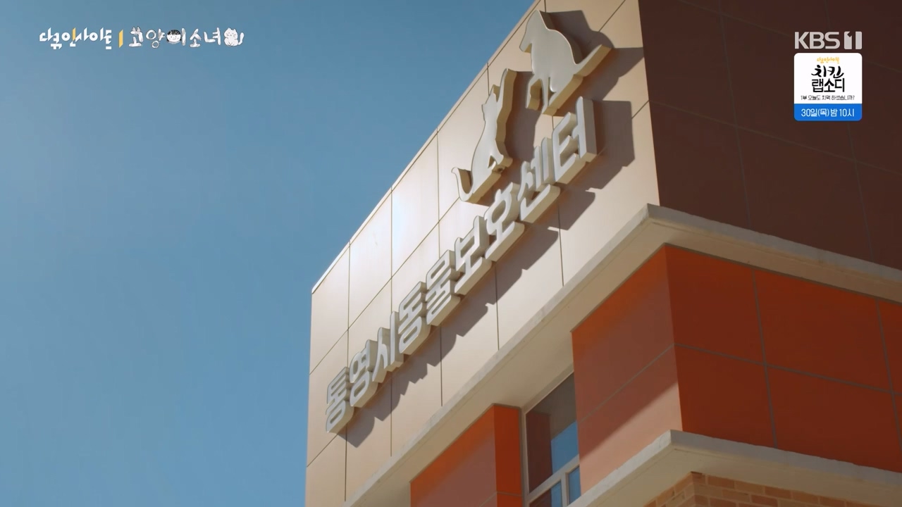 다큐 인사이트.E189.240524p-NEXT.mp4_20240524_205106.464.jpg