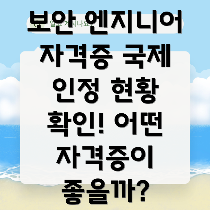 국제 보안 자격증