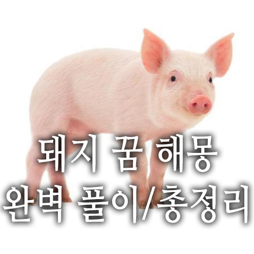  [돼지 꿈 해몽] 40가지 총정리, 완벽풀이 (돈버는꿈, 복권꿈, 로또꿈)