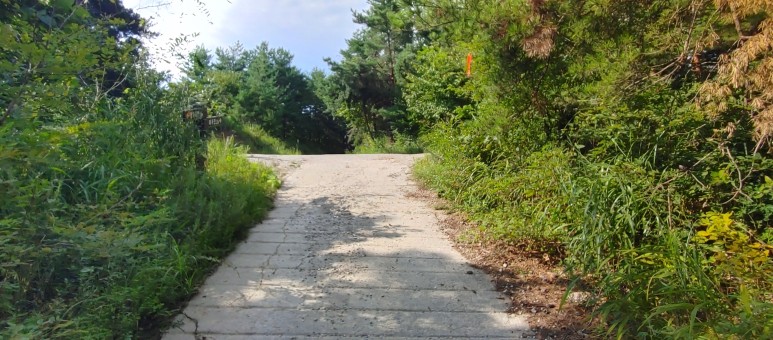 제진검문소 - 통일전망대 출입신고소 해파랑길 50코스 : 31