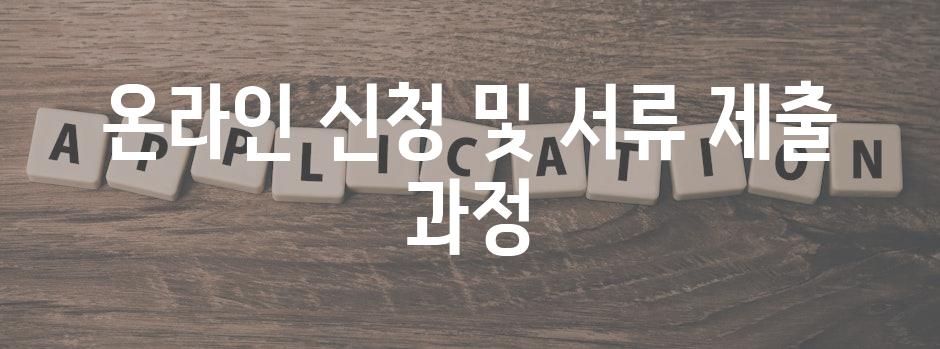 온라인 신청 및 서류 제출 과정