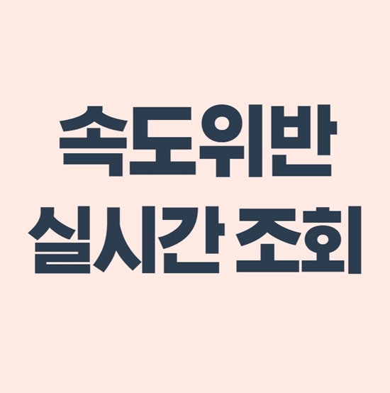  속도위반 실시간 조회 1분이면 끝!