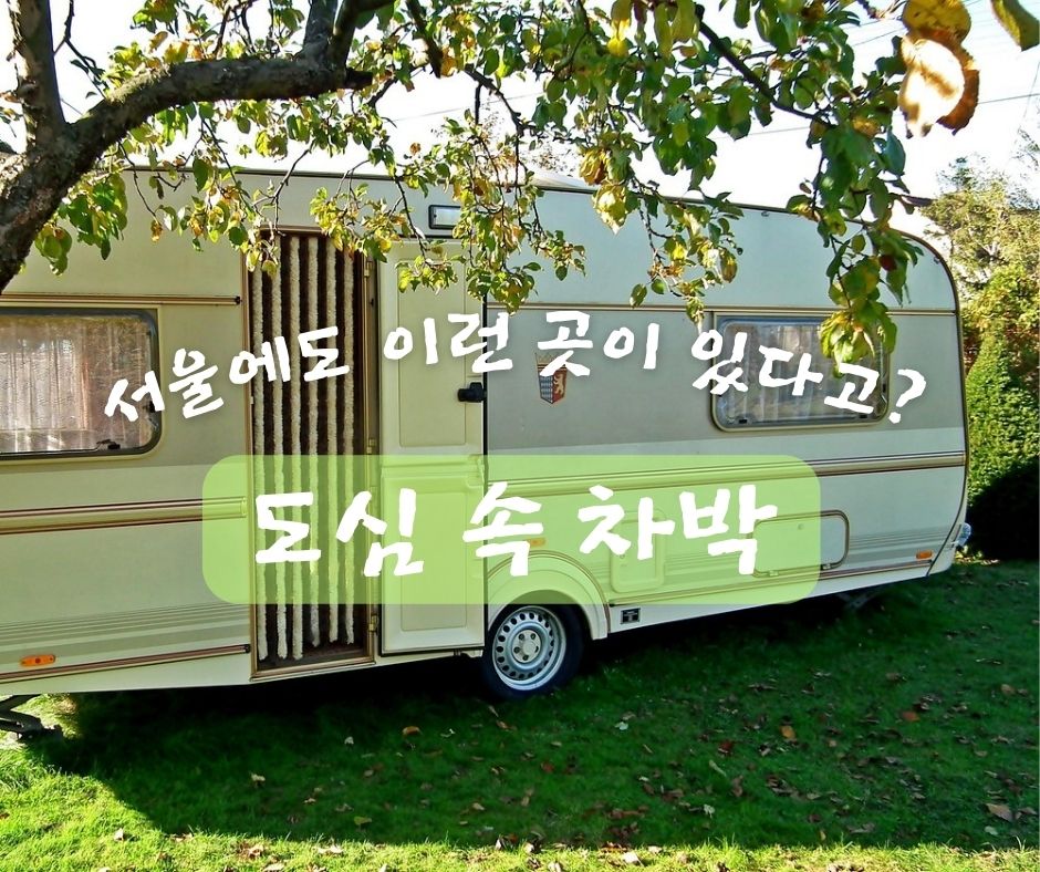 도심 속 차박