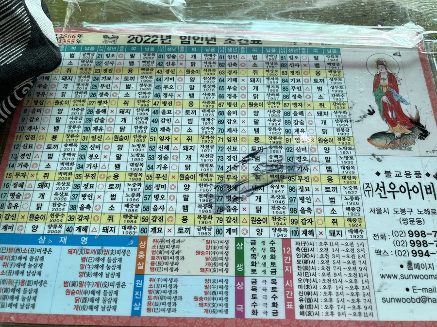 혼자가기좋은 23