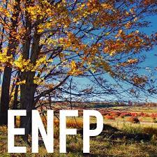 MBTI 중 ENFP 스트레스 해소법