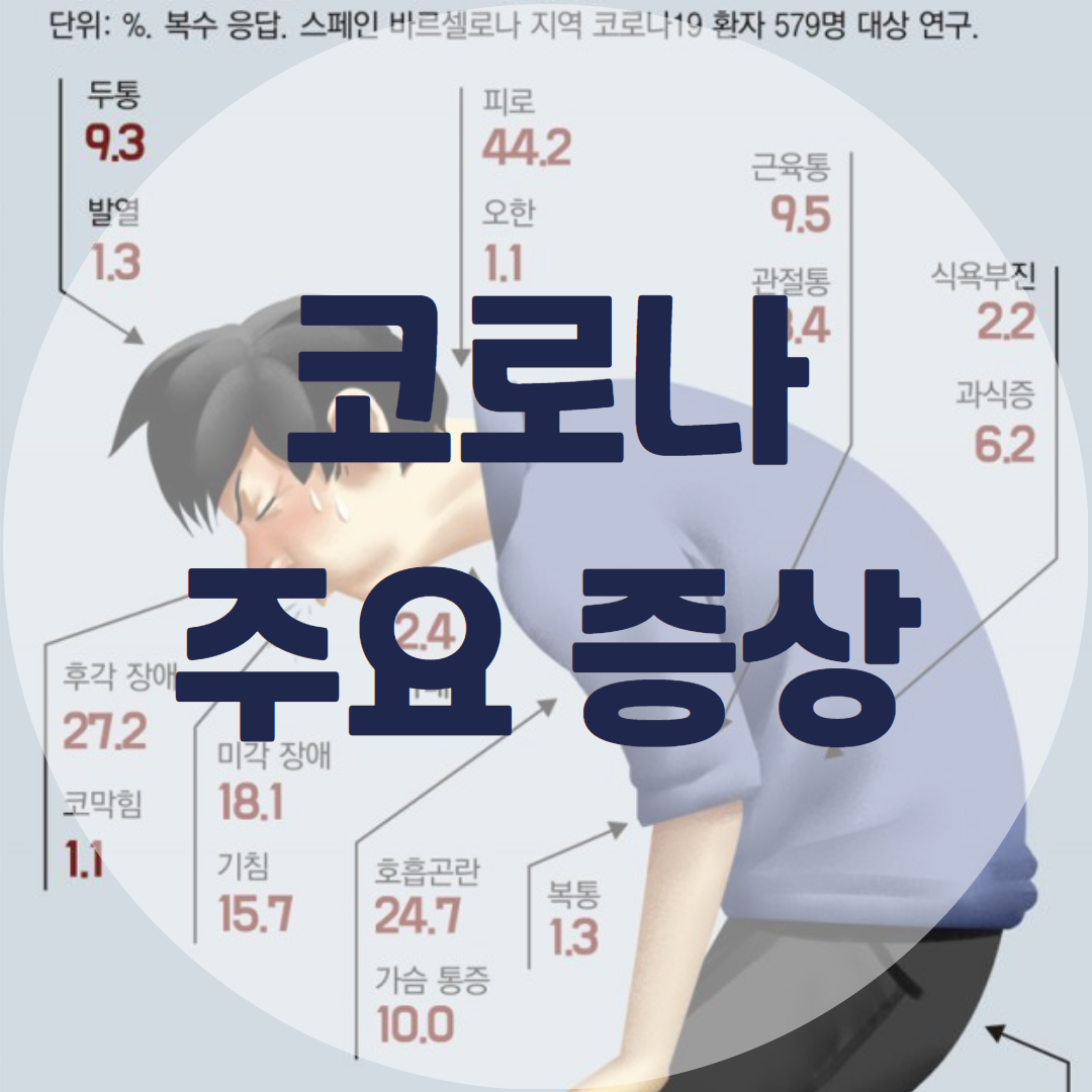 코로나 주요 증상