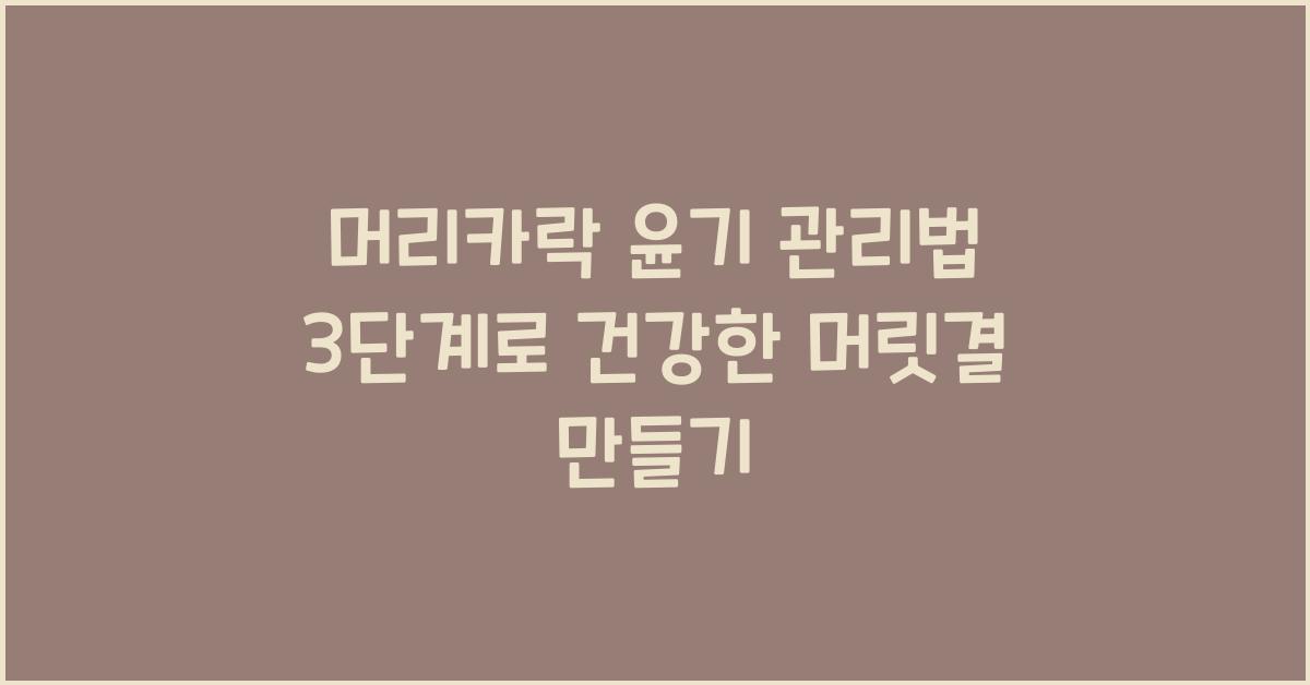 머리카락 윤기 관리법 3단계