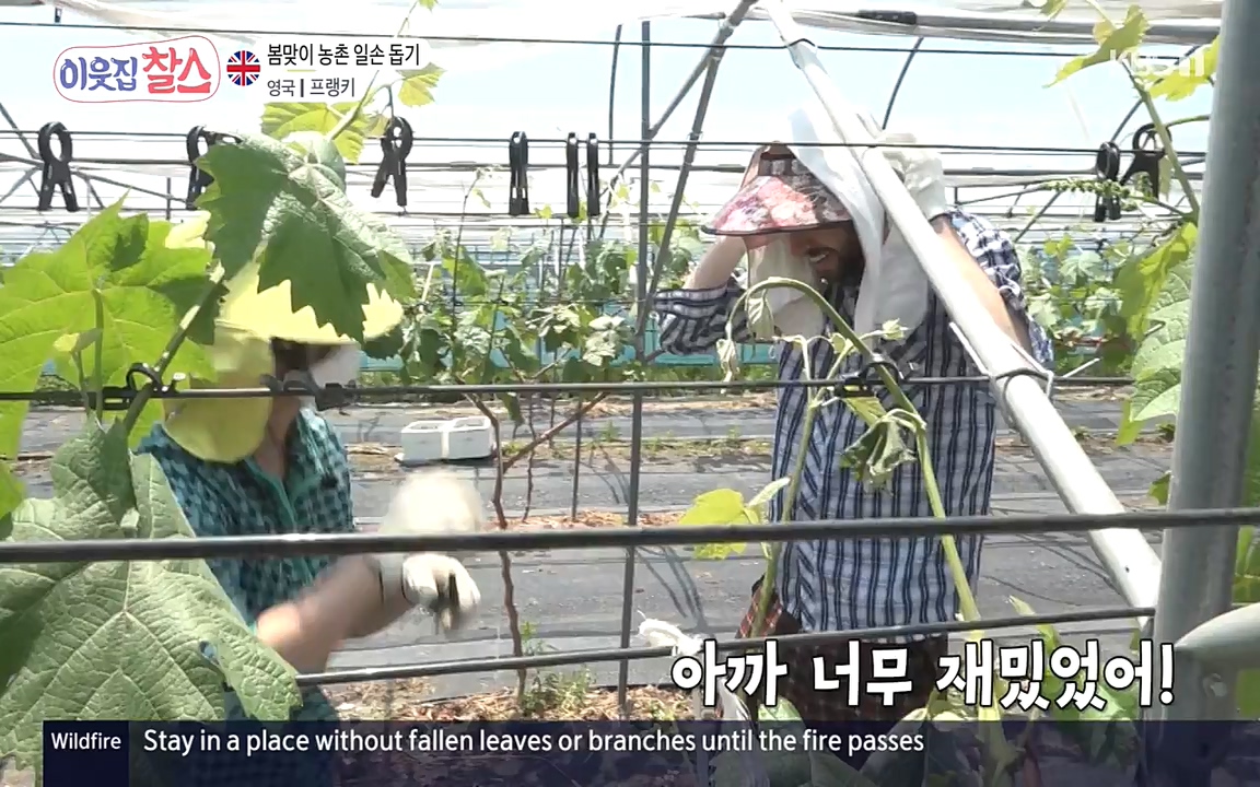 이웃집 찰스.E340.220532p-NEXT.mp4_20220601_175921.589.jpg