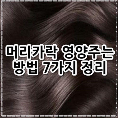 머리카락 영양주는 방법 7가지