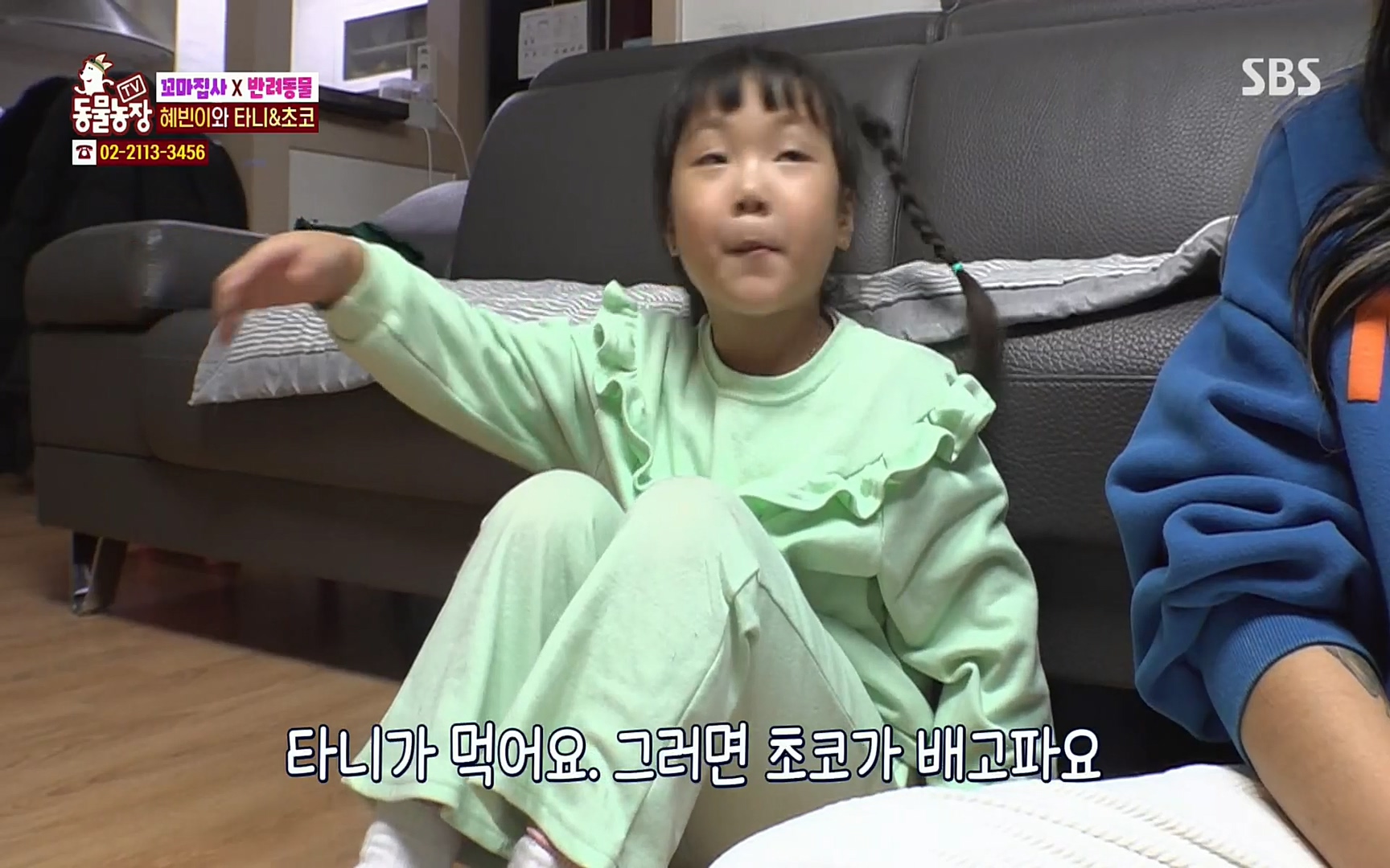 TV 동물농장.E1061.220320p.H264-F1RST.mp4_20220320_183620.618.jpg