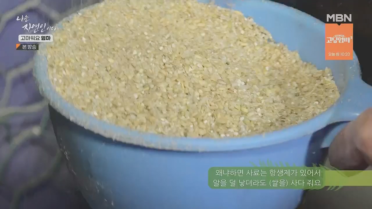 나는 자연인이다.E554.230518p.H264-F1RST.mp4_20230518_194518.382.jpg