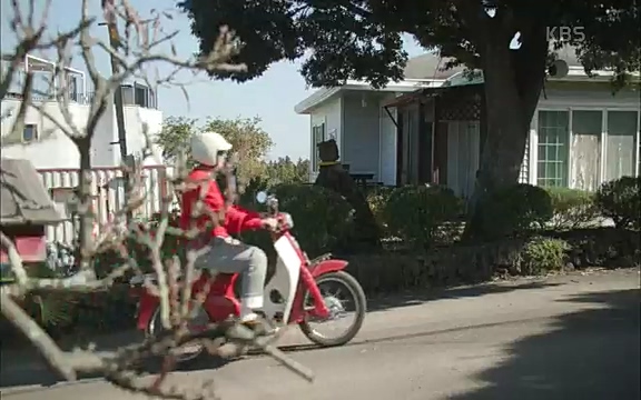 [4회] 자연의 철학자들 - KBS행복하냐고 묻는다면] 흙과 돌, 숲과의 눈맞춤 그리고 물속에서의 숨소리까지 오롯이 김창옥.ts_20220320_153613.511.jpg