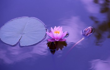<b>세이 클럽</b> 타키 최신 버전 다운로드