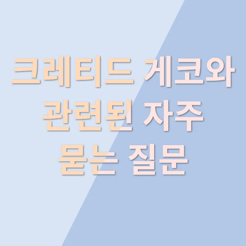 크레티드 게코 키우기_4