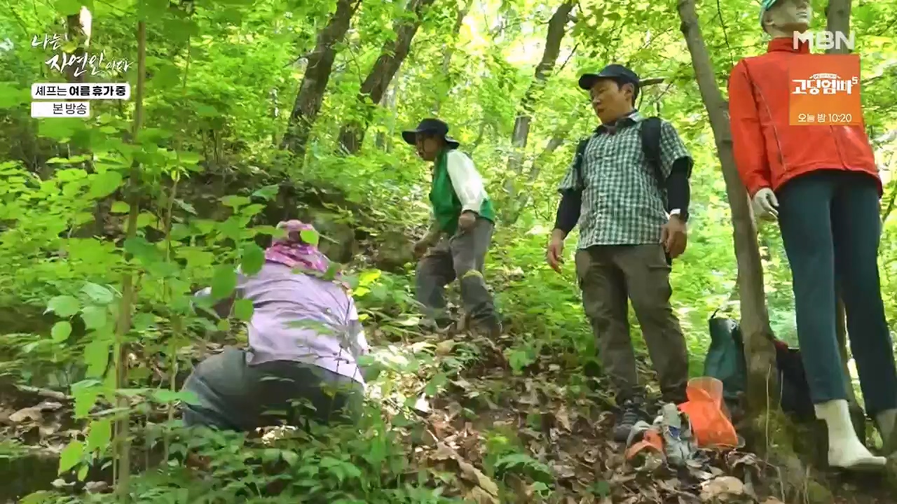 나는 자연인이다.E611.240627p-NEXT.mp4_20240627_195558.889.jpg