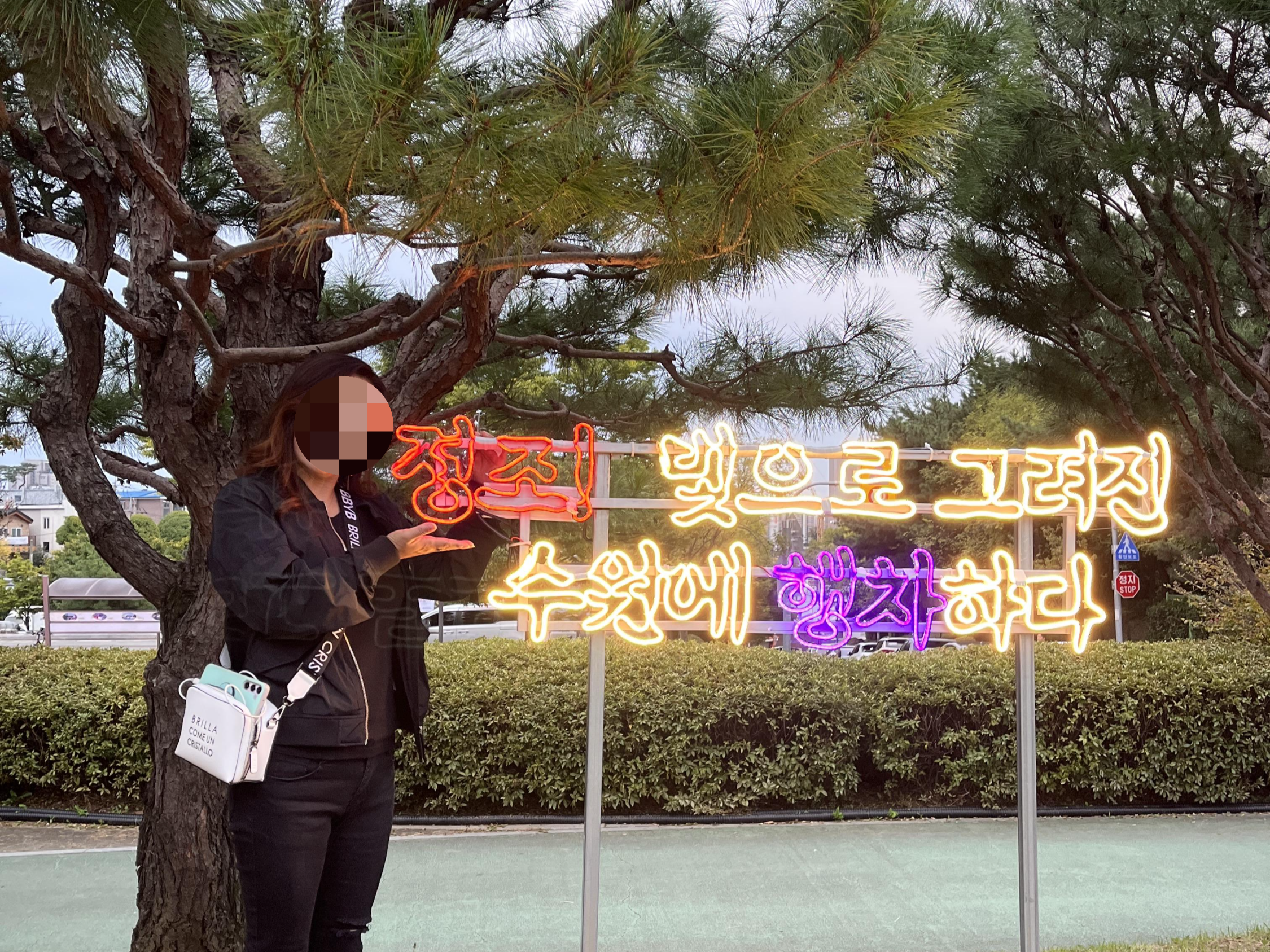  가을밤 수원화성 '문화유산 미디어아트쇼' 관람 후기