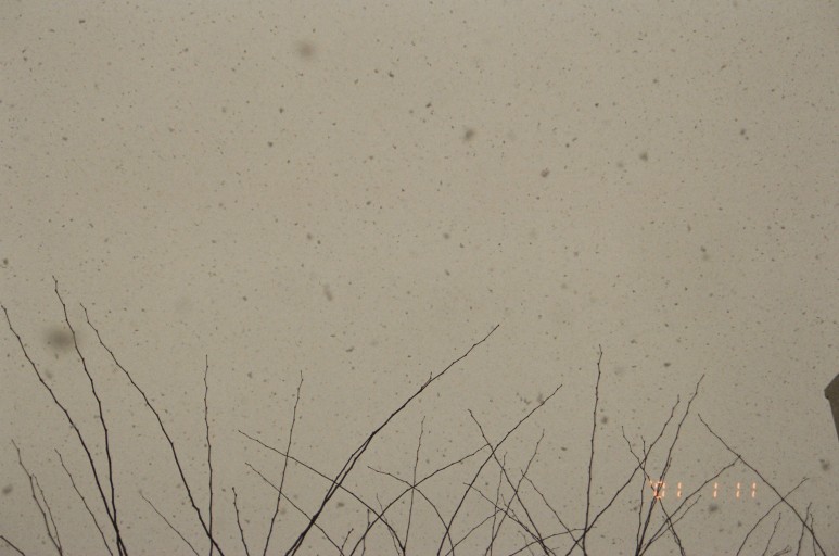 중고 펜탁스 SF7 자동차 필름 카메라 이야기. 결과는 9개월만에 나왔다. 25