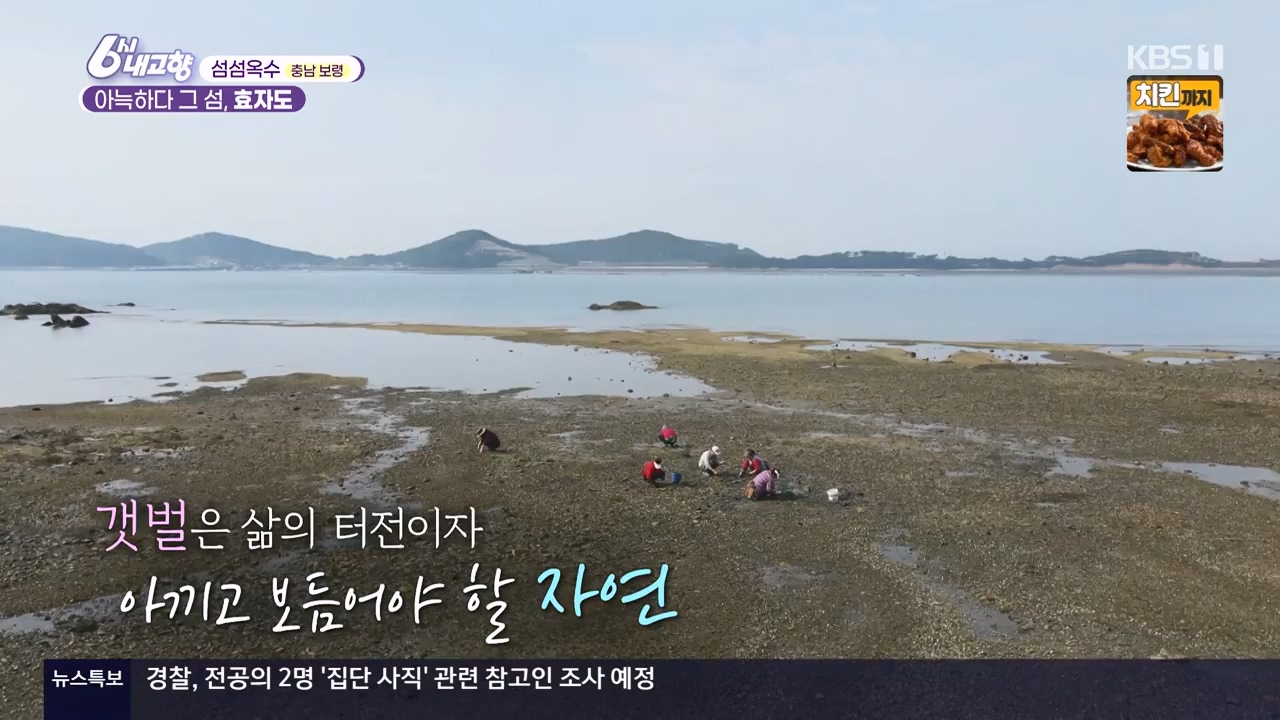 6시 내고향.E8057.240525p-NEXT.mp4_20240525_162227.850.jpg