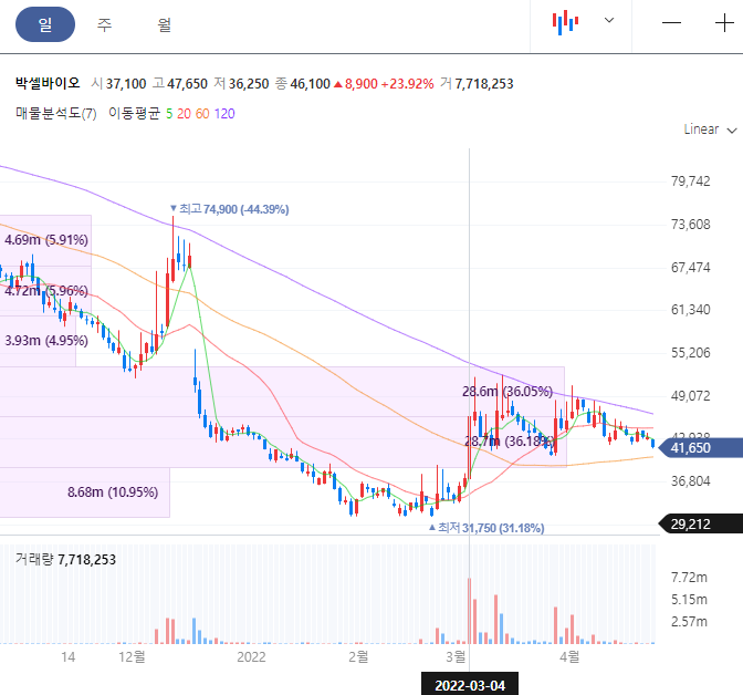 박셀바이오 주가