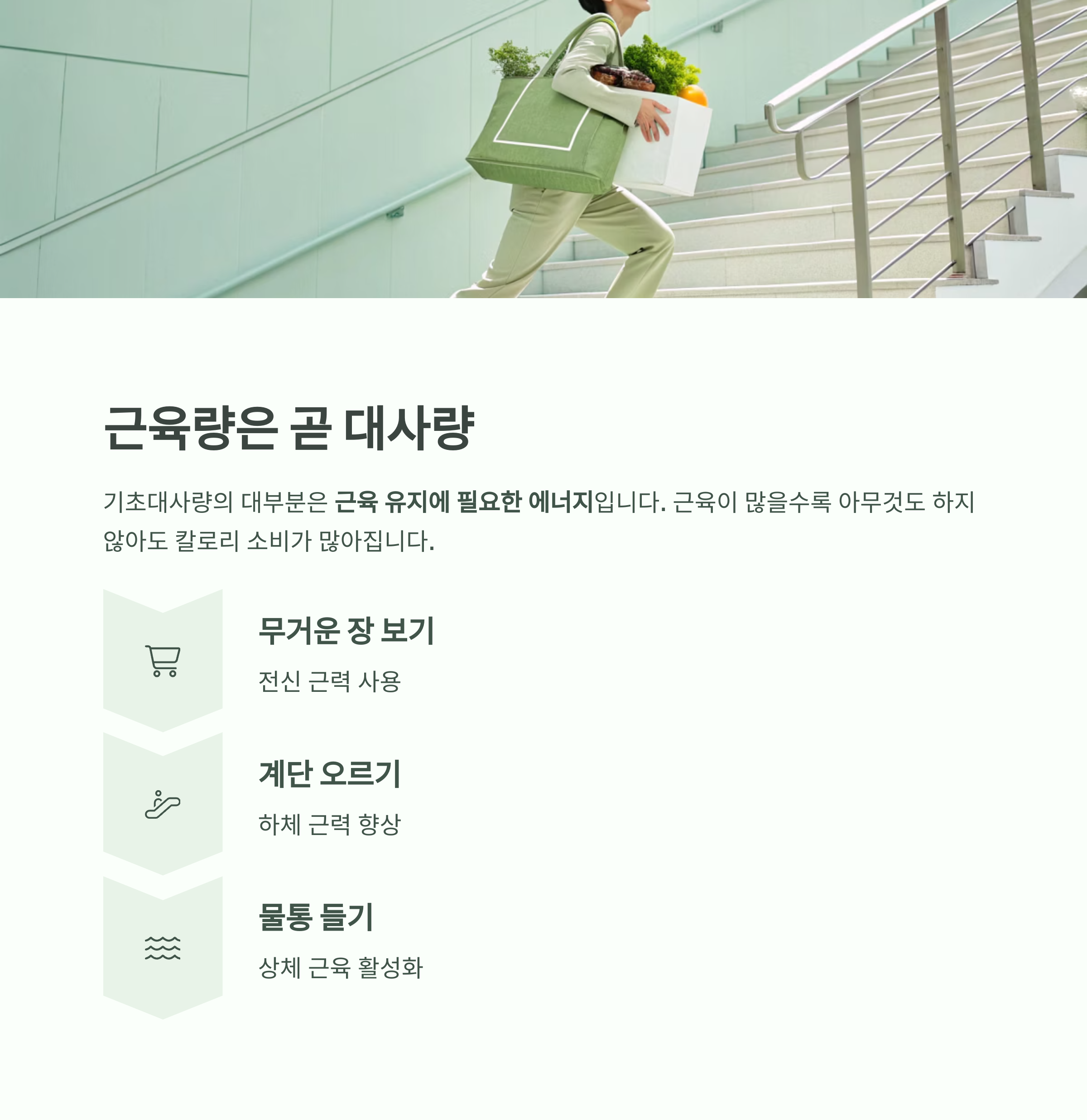하루 200칼로리 더 태우는 비밀, 기초대사량 높이는 일상 습관 - 무리한 운동 없이도 가능한가요? 기초대사량은 일상 습관이 좌우합니다 - 근육량은 곧 대사량, 생활 속 근력 사용 늘리기 하루 200칼로리 더 태우는 비밀, 기초대사량 높이는 일상 습관 - 무리한 운동 없이도 가능한가요? 기초대사량은 일상 습관이 좌우합니다 - 근육량은 곧 대사량, 생활 속 근력 사용 늘리기