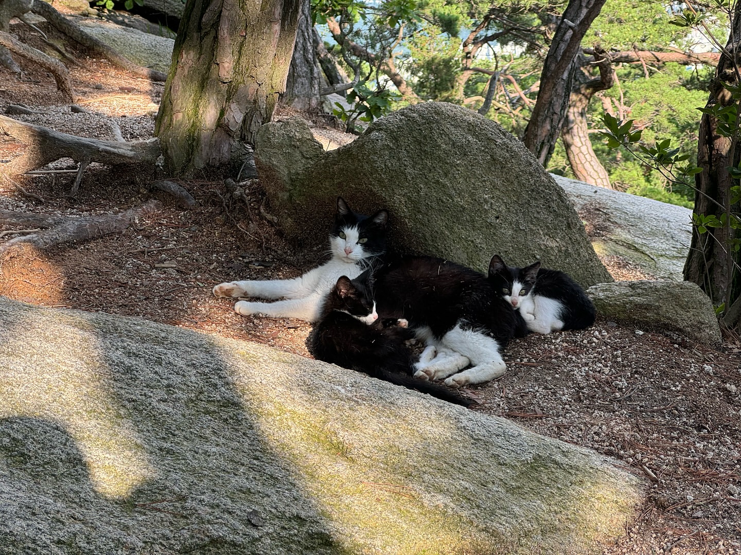 도봉산 이미지