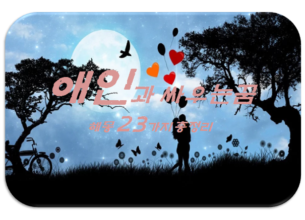  애인과 싸우는 꿈 해몽 23가지 총정리