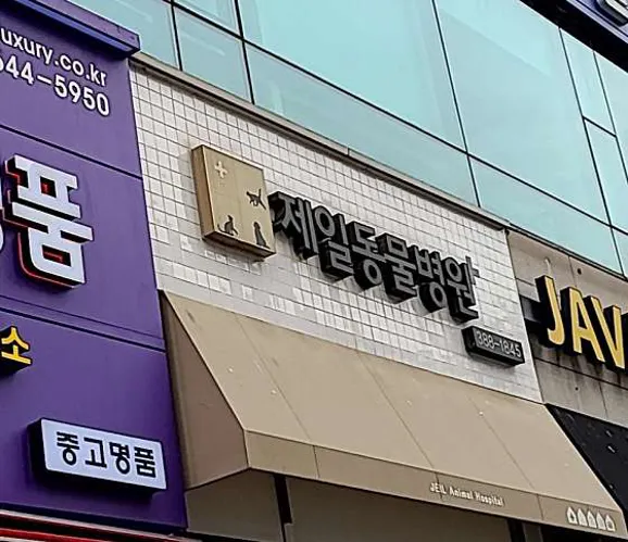 제일동물병원
