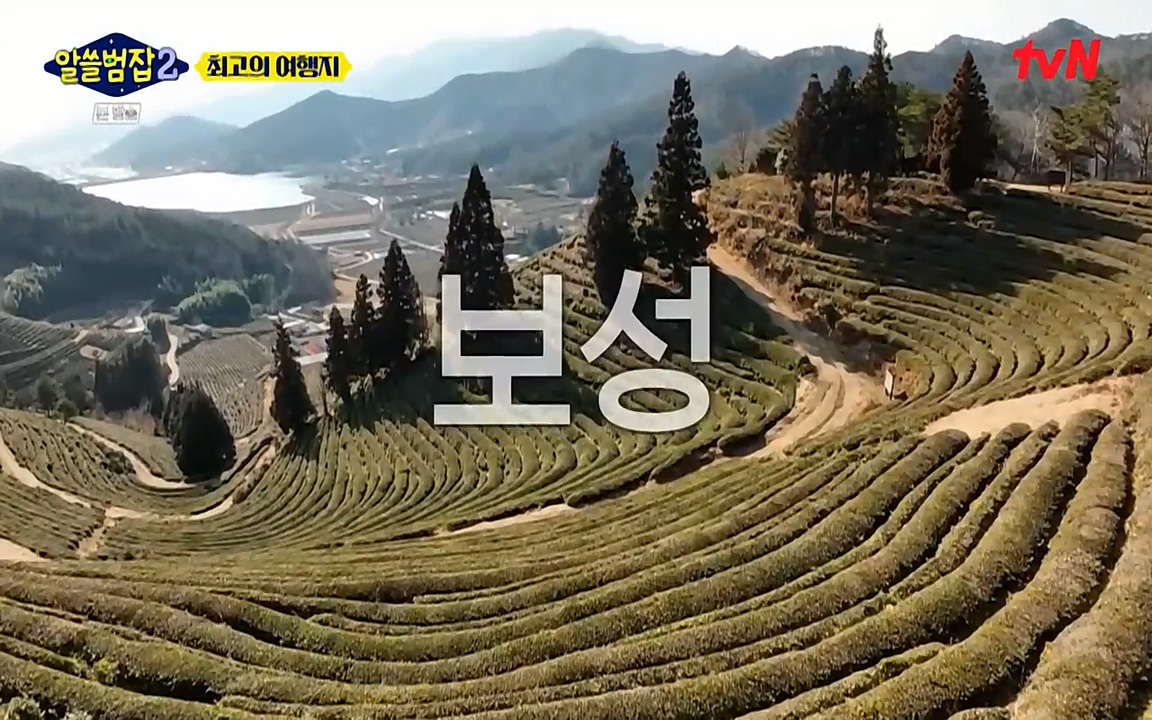 알쓸범잡 2.E16.220502p-NEXT.mp4_20220502_184128.774.jpg